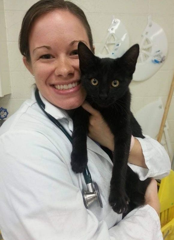 dr. alli with cat